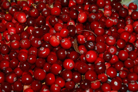 cranberries-1-450